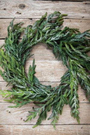 Natural Greenery | 24" Iced Garden Norfolk Pine Wreath Christmas Greenery Christmas Wreaths